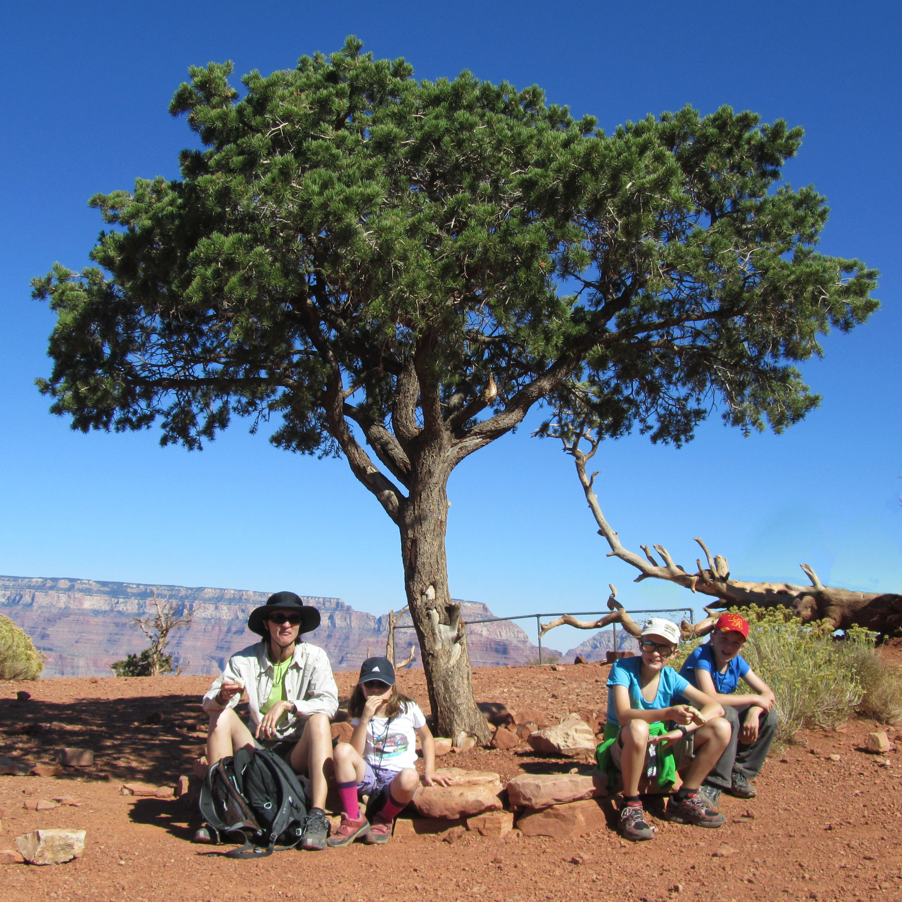 IMG_1624 heavily doctored.jpg