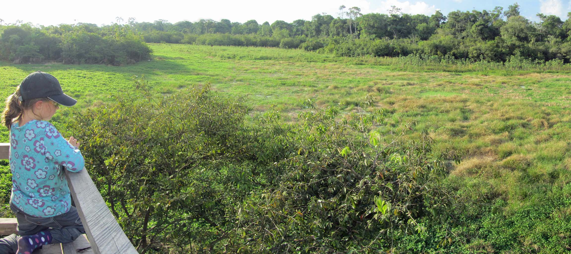 Pano_IMG_5534 copy.jpg